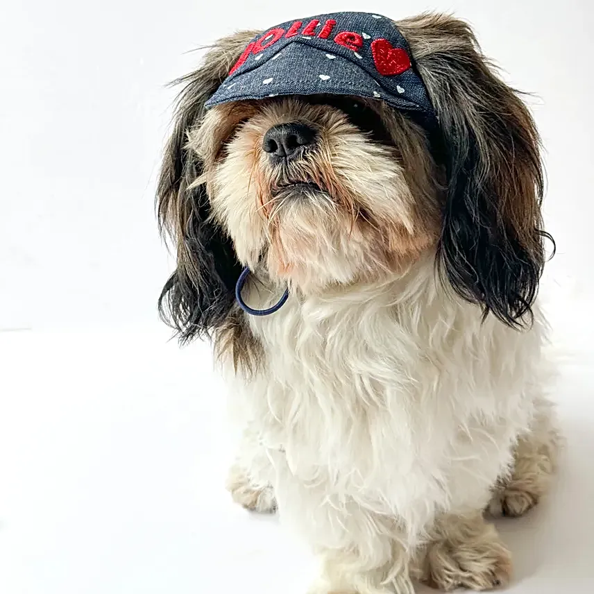 Pawgy Pets Custom Hearty Denim Cap S