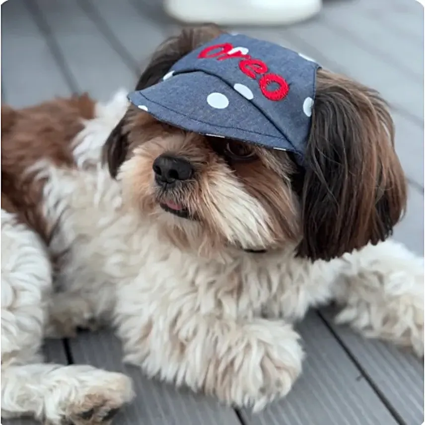 Pawgy Pets Customised Dotty Denim Cap S