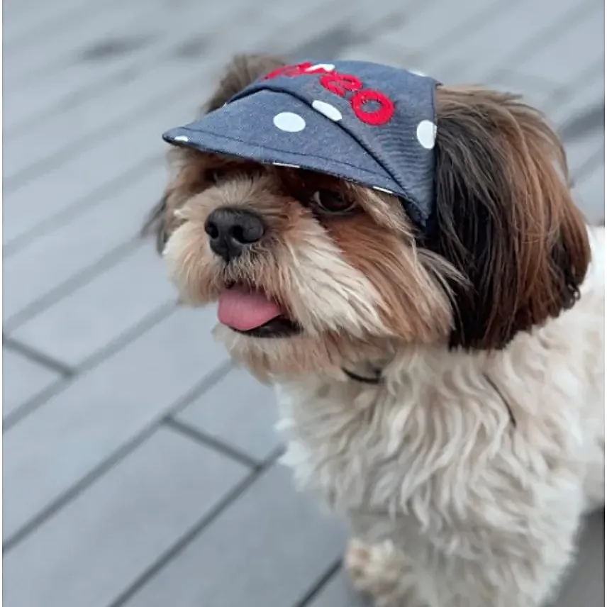 Pawgy Pets Customised Dotty Denim Cap S