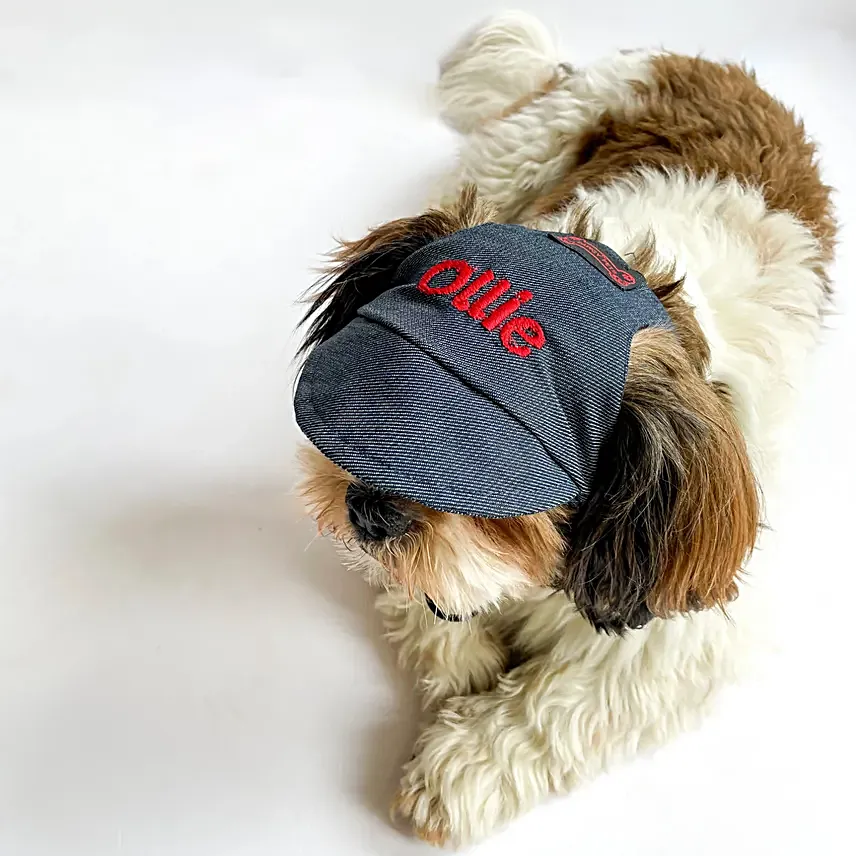 Pawgy Pets Adorable Personalised Demin Cap S