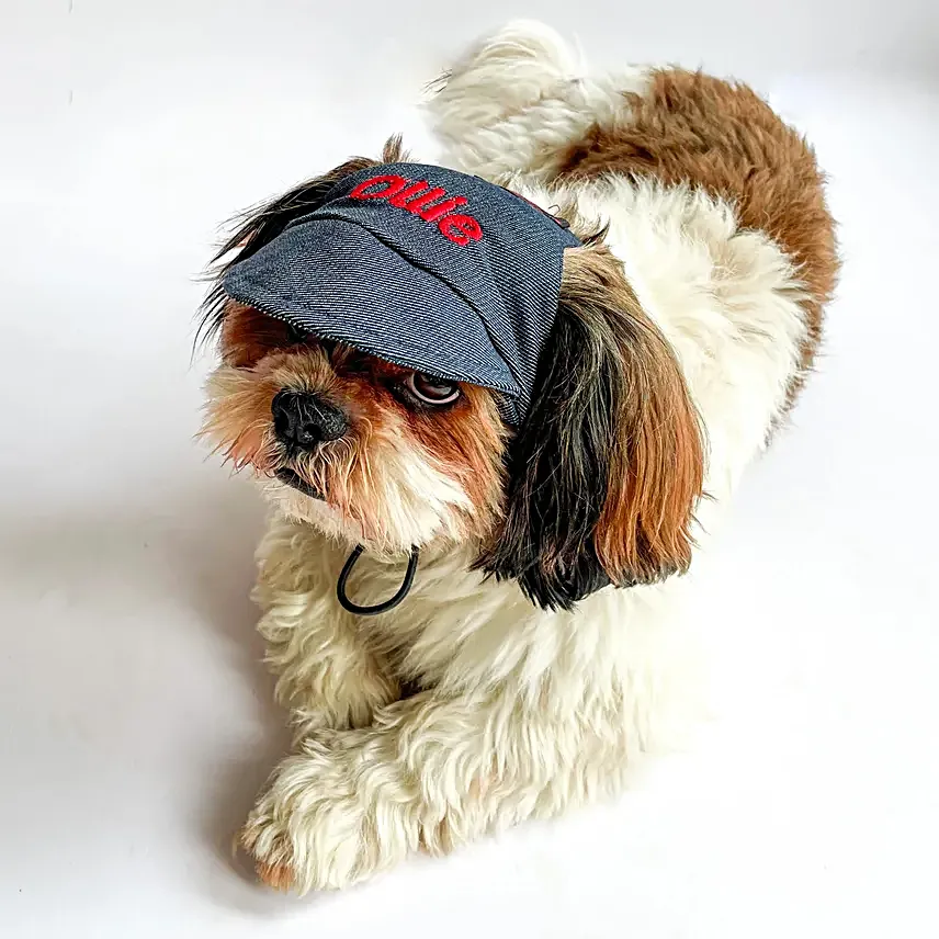 Pawgy Pets Adorable Personalised Demin Cap S