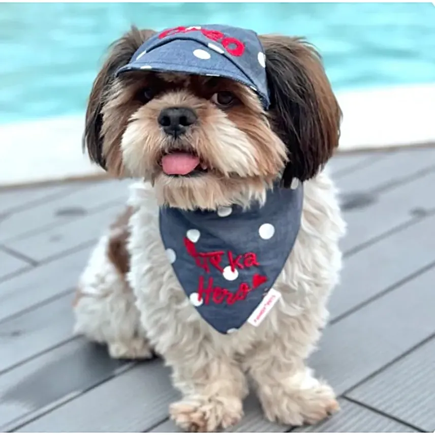 Pawgy Pets Pawsome Polka Denim Duo S