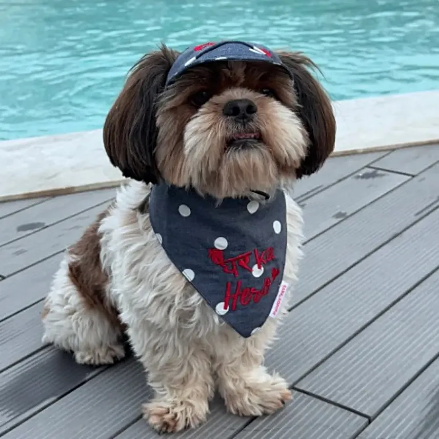 Pawgy Pets Pawsome Polka Denim Duo S