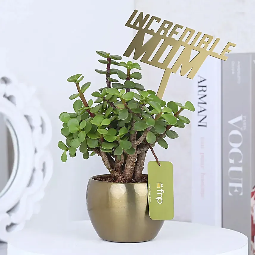 Incredible Mom Jade Plant Pot