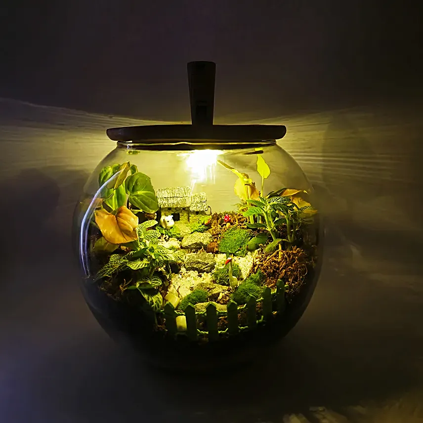Plant N Prosper DIY Gift Kit