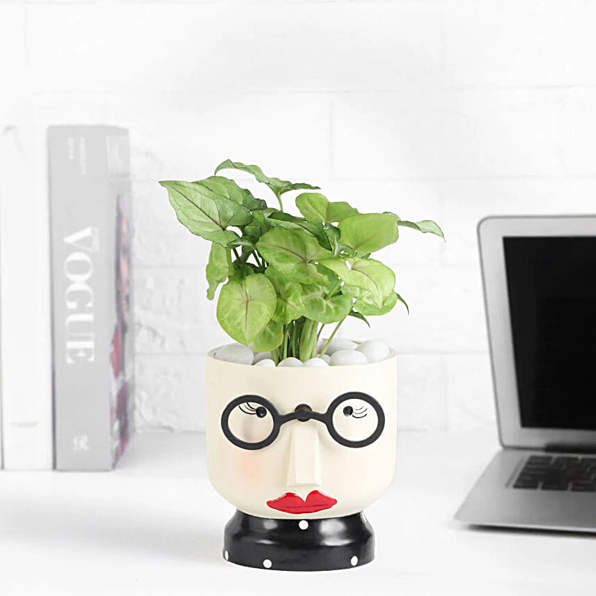 Golden Syngonium Gift for Mothers Day