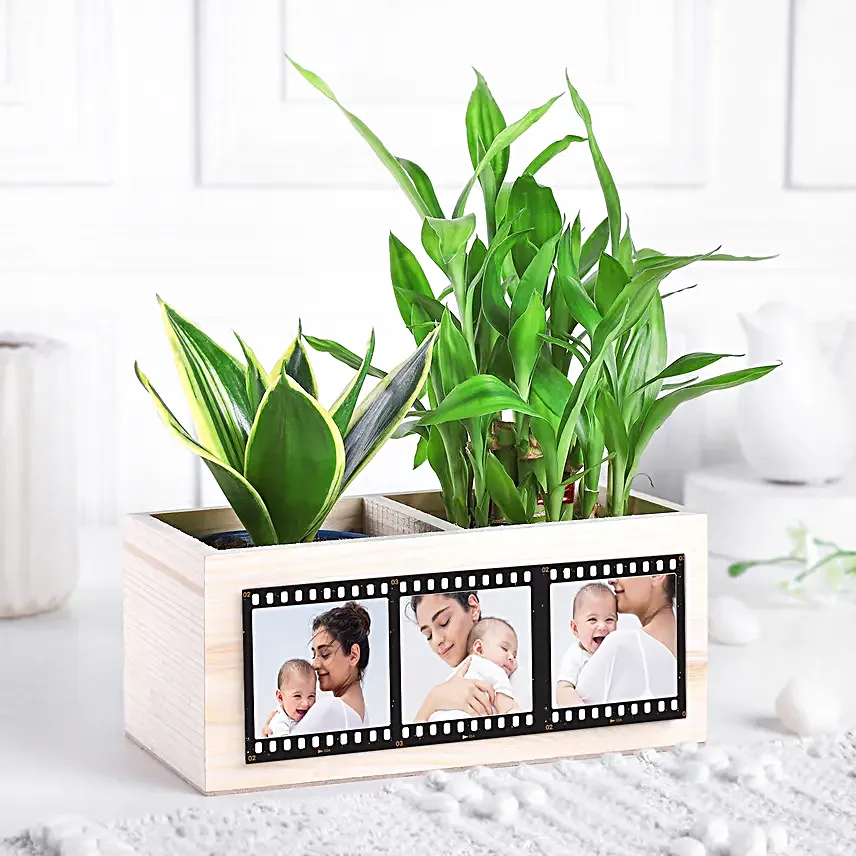 Personalised Green Organiser for Mom