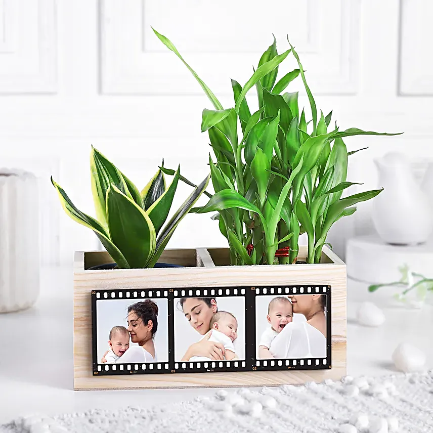 Personalised Green Organiser for Mom