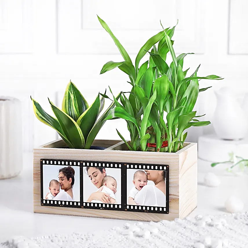 Personalised Green Organiser for Mom