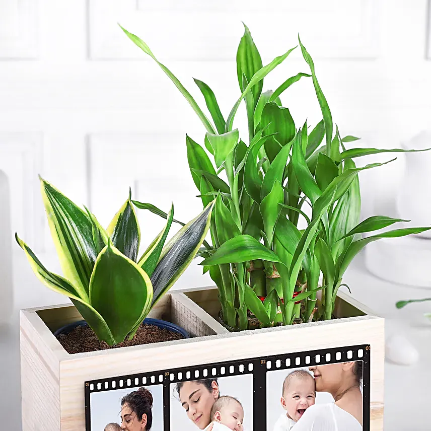 Personalised Green Organiser for Mom