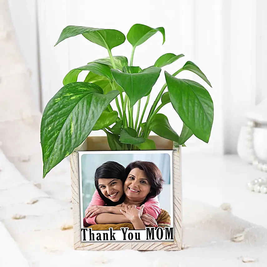 Leafy Love Organiser for Mom