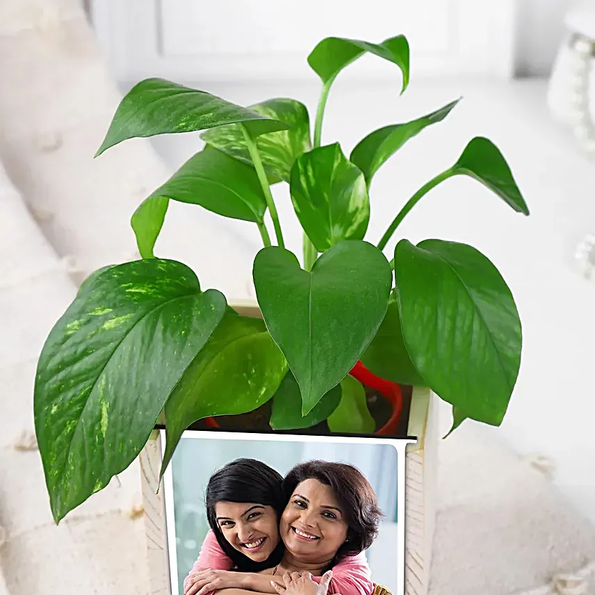 Leafy Love Organiser for Mom