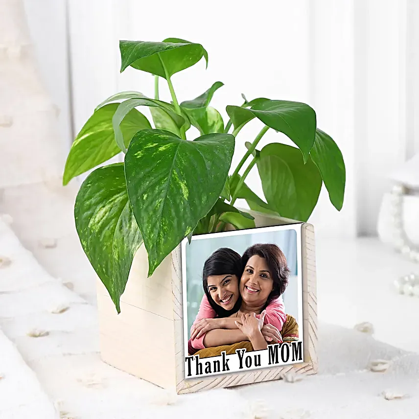 Moms Green Desk Companion