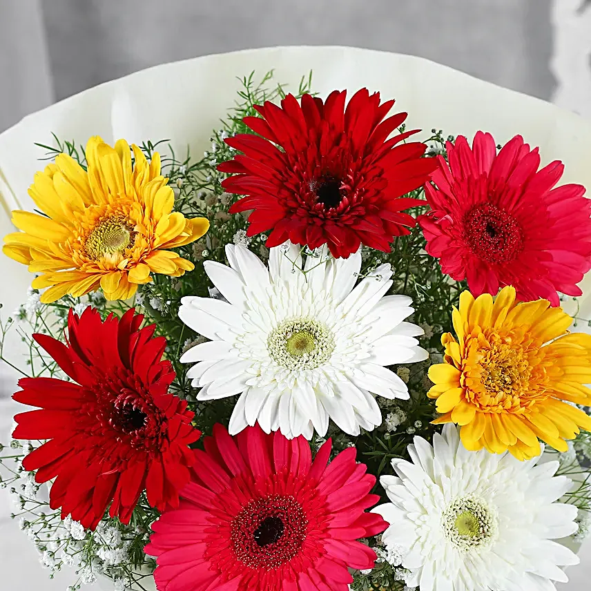Mixed Brilliance Gerbera Blossoms