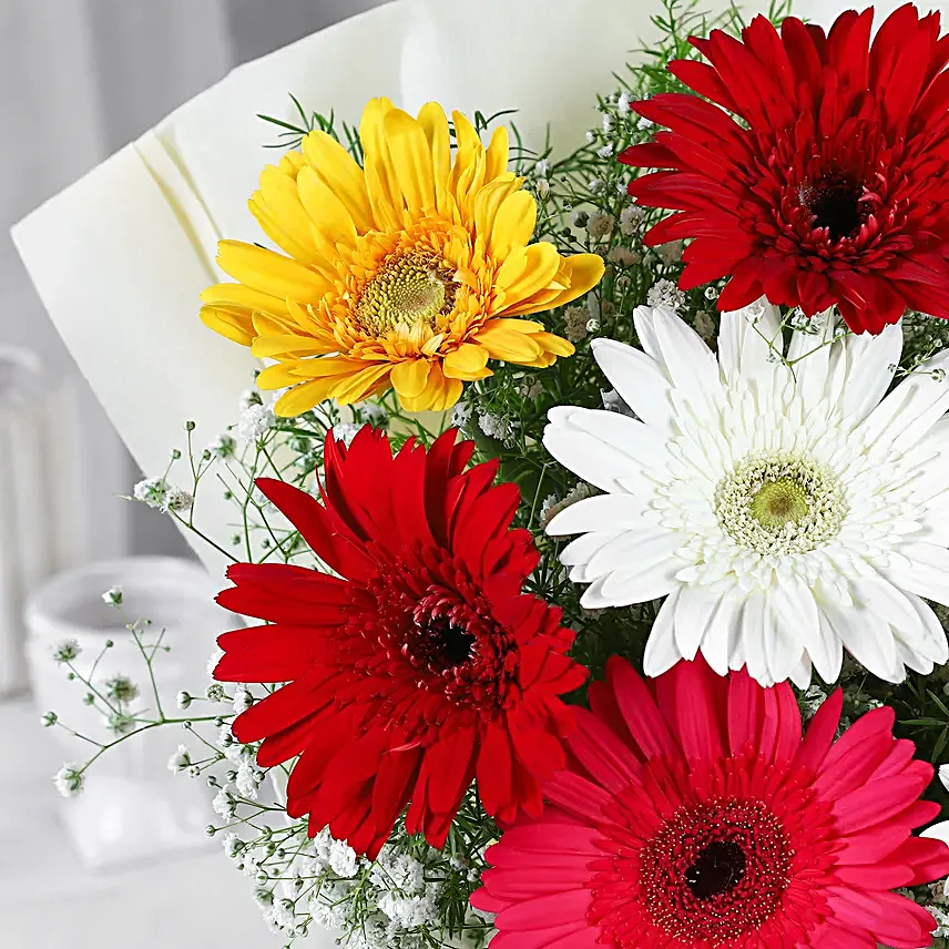 Mixed Brilliance Gerbera Blossoms
