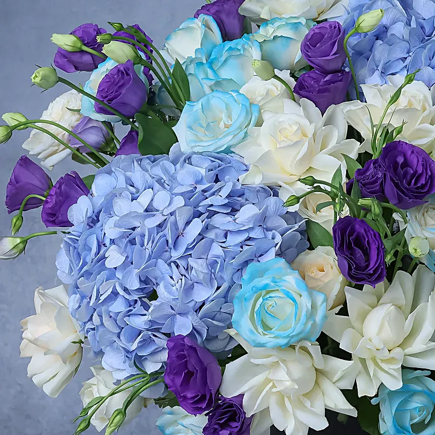 Hydrangea Mystic Beauty Gift Box
