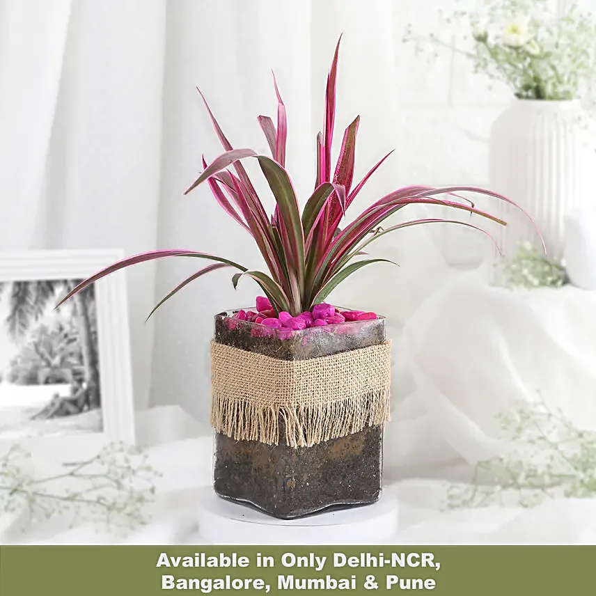 Soothing Green Spider Plant Charm