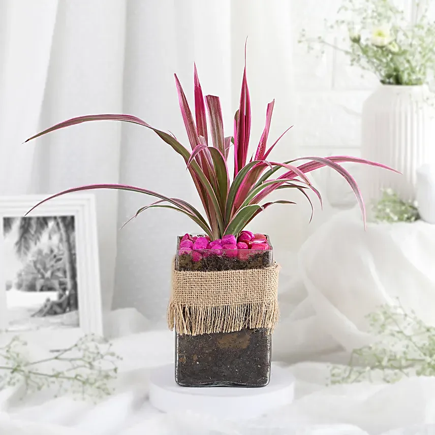 Soothing Green Spider Plant Charm
