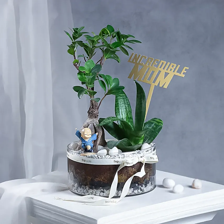 Stunning Zen Garden Gift with Mom Topper