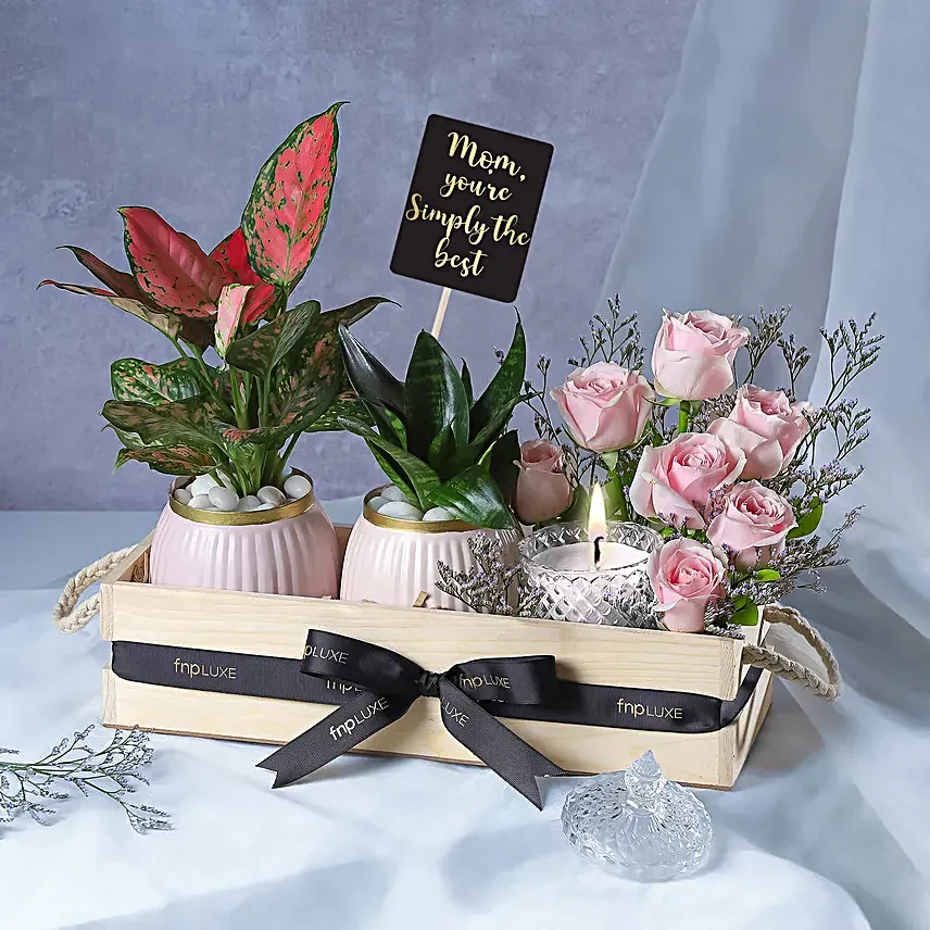 Botanical Beauty Crate with Candle