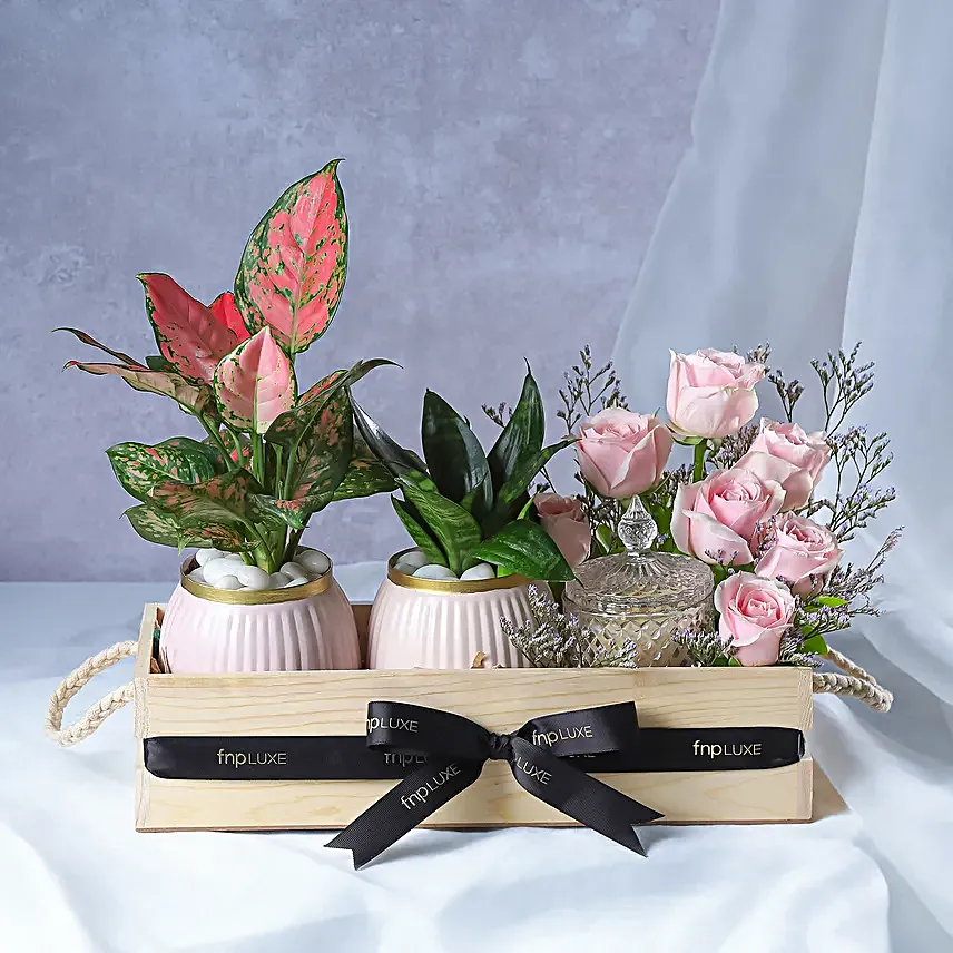 Botanical Beauty Crate with Candle