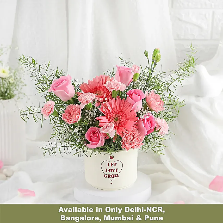 Blush Pink Roses in Terracotta Beauty