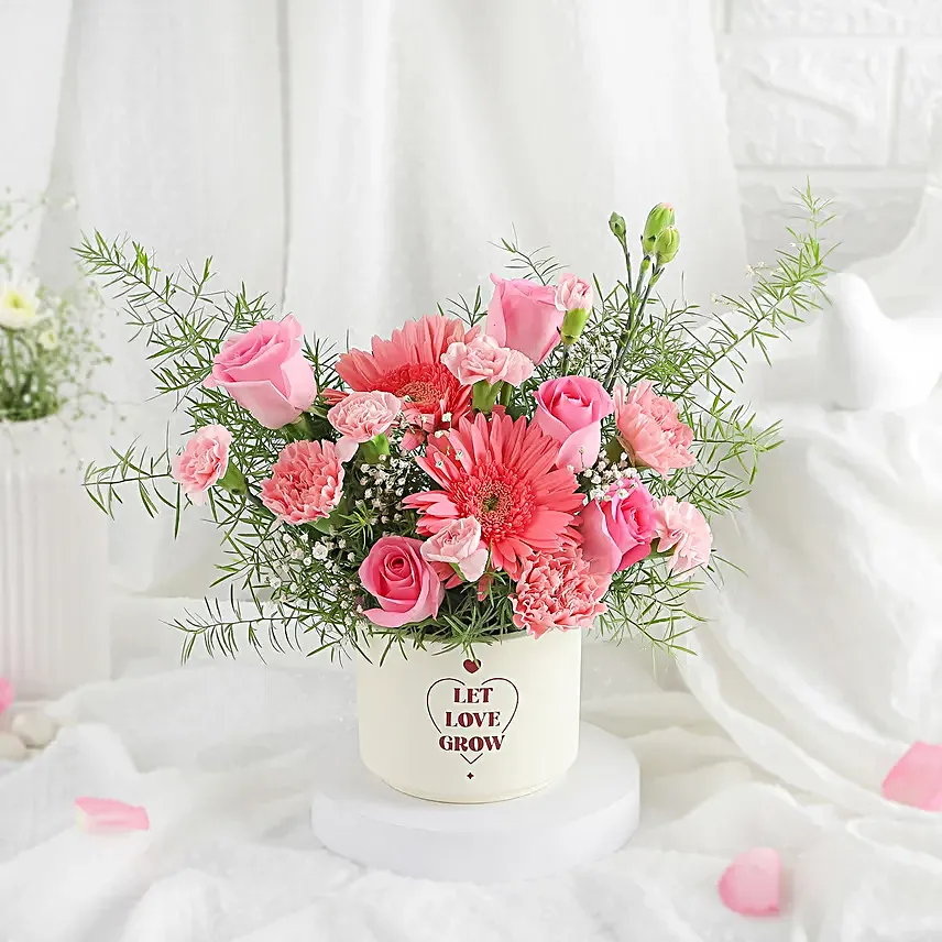 Blush Pink Roses in Terracotta Beauty
