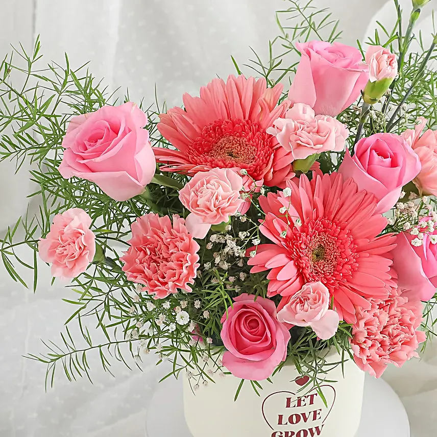 Blush Pink Roses in Terracotta Beauty