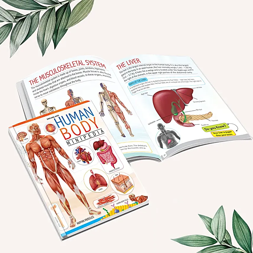 Minipedia Series Book Set For Children