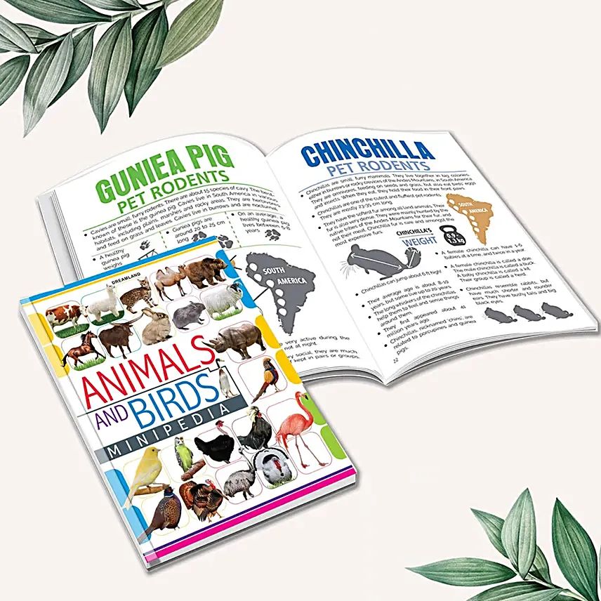 Minipedia Series Book Set For Children