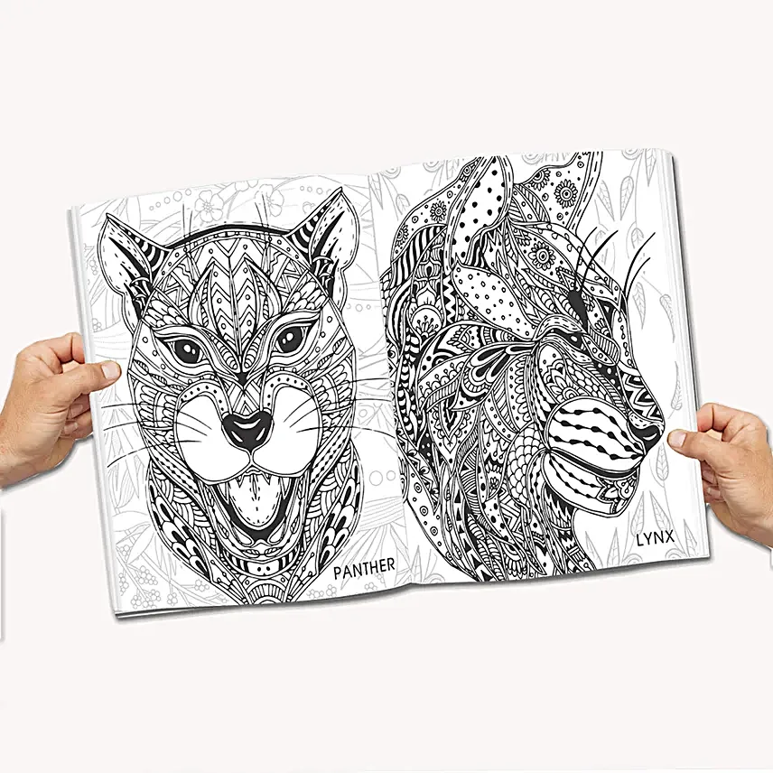 Relax N Unwind Doodle Colouring Book Set