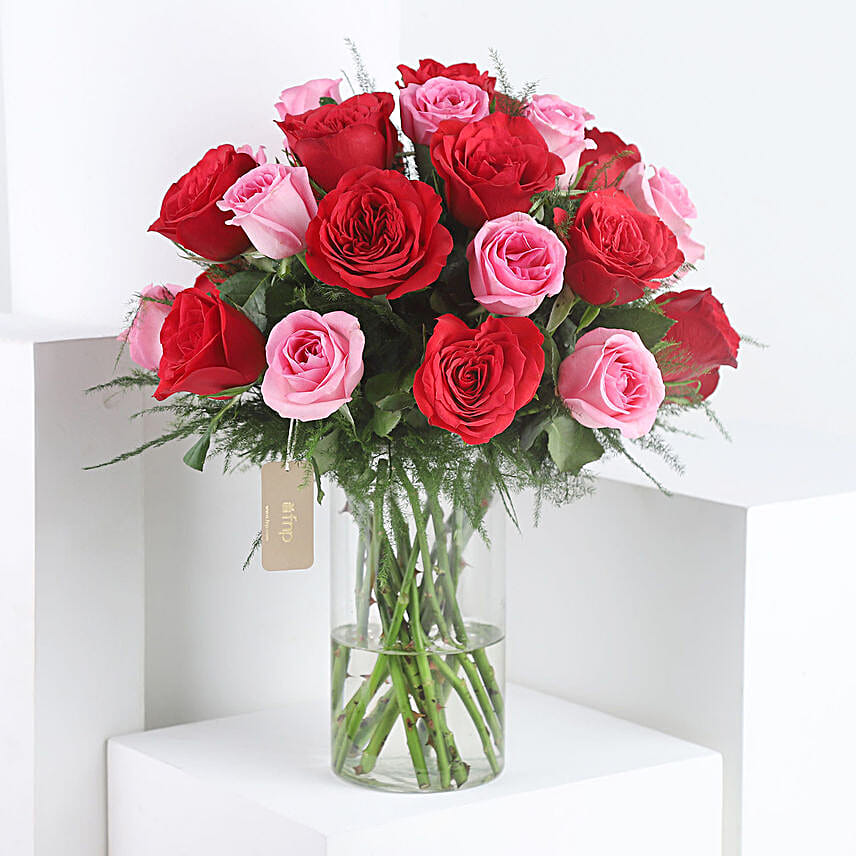 Red and Pink Roses with Truffle Cake