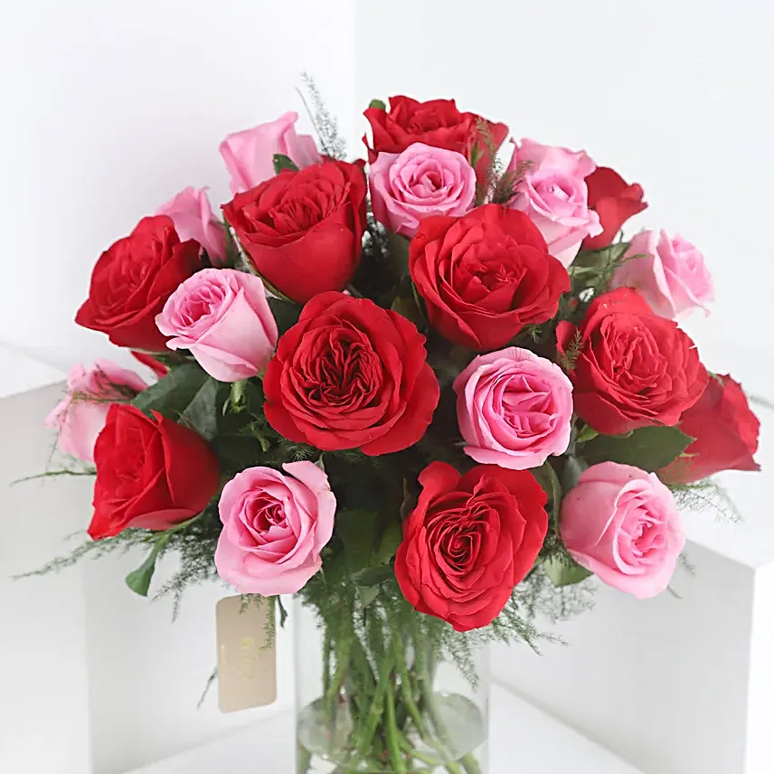 Red and Pink Roses with Truffle Cake