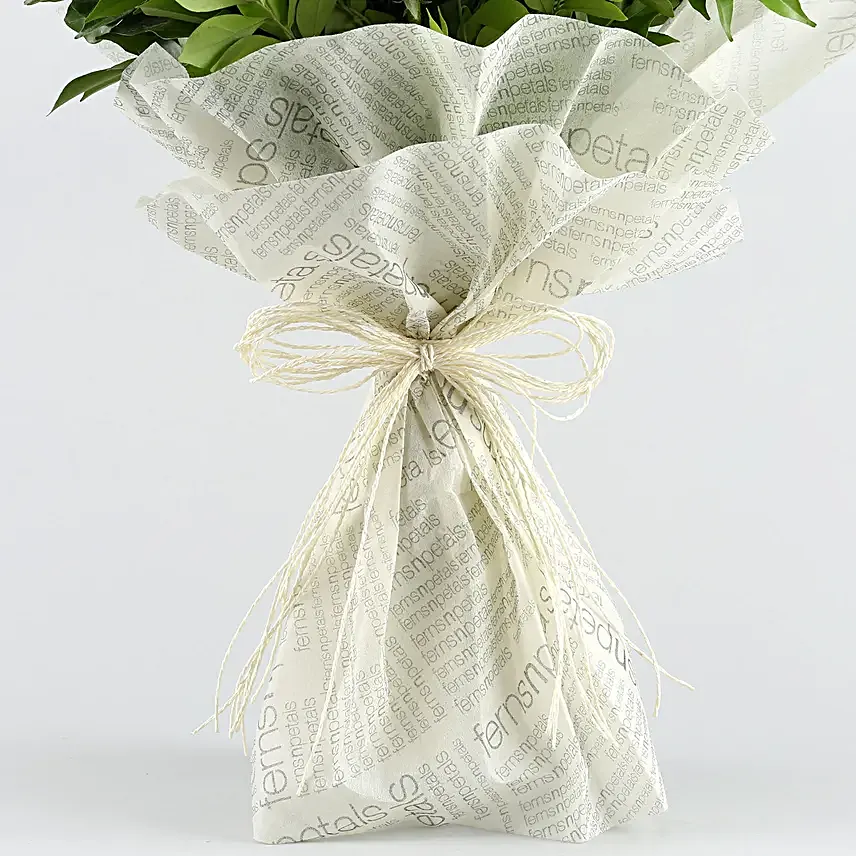 A Cool Breeze Roses Bouquet Truffle Cake