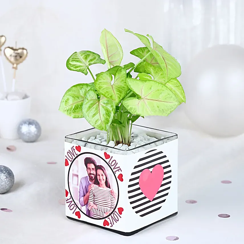 Love Infused Foliage Fiesta