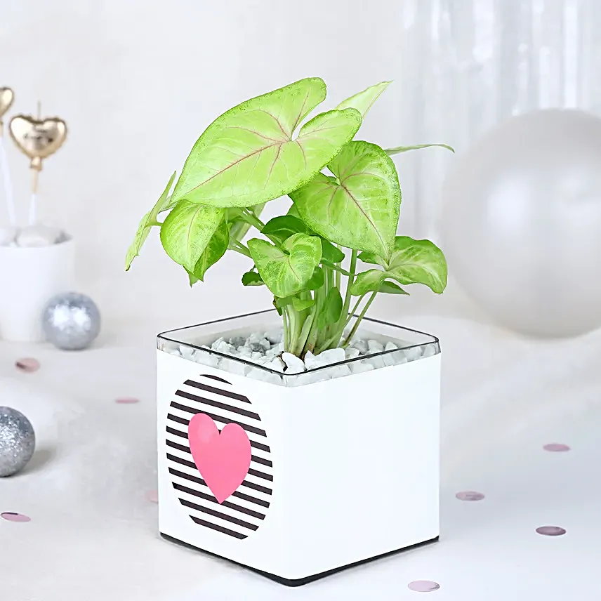 Love Infused Foliage Fiesta