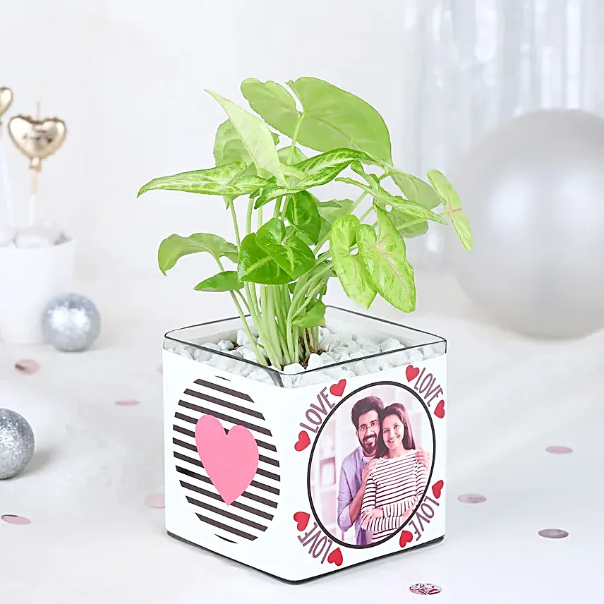 Love Infused Foliage Fiesta