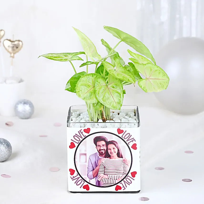 Love Infused Foliage Fiesta