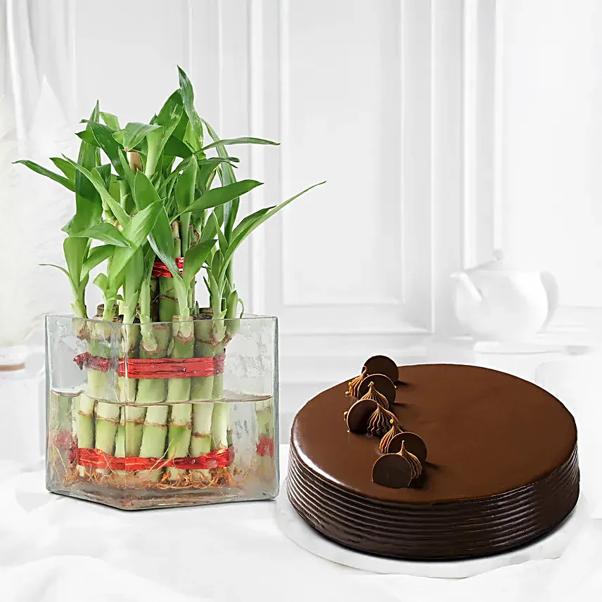 2 layer Bamboo with truffle cake