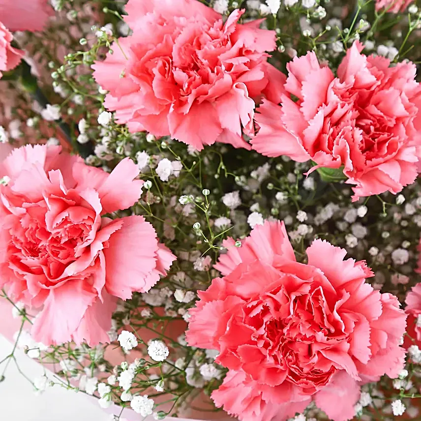 Magical Dust Carnations N Truffle Cake Combo