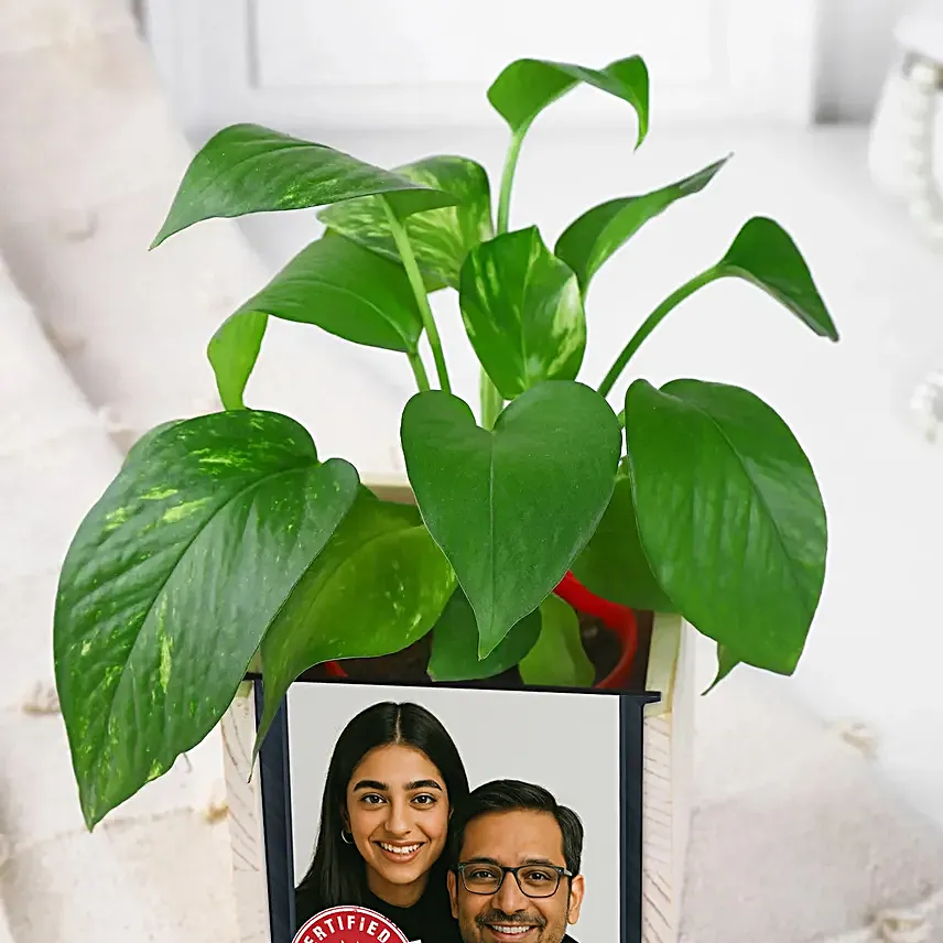 Money Plant N Desk Organiser Duo for Father