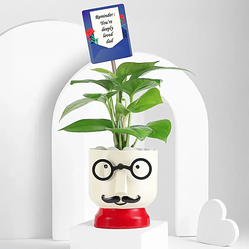 Boy Pot Plant Gift for Dad