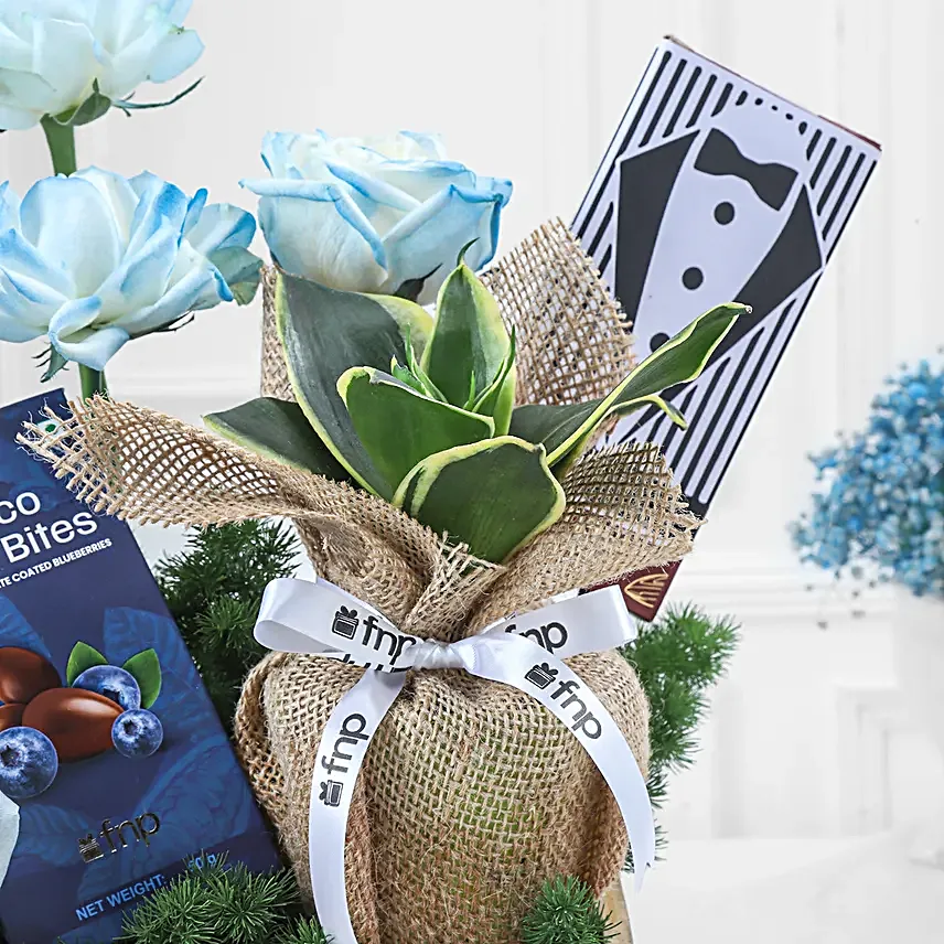 Gift Tray with Sweets Flowers N Plant