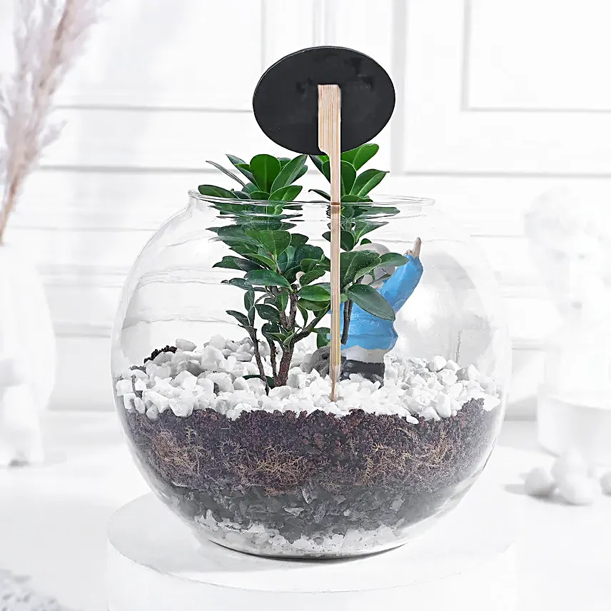 Love Grown Bonsai Bliss