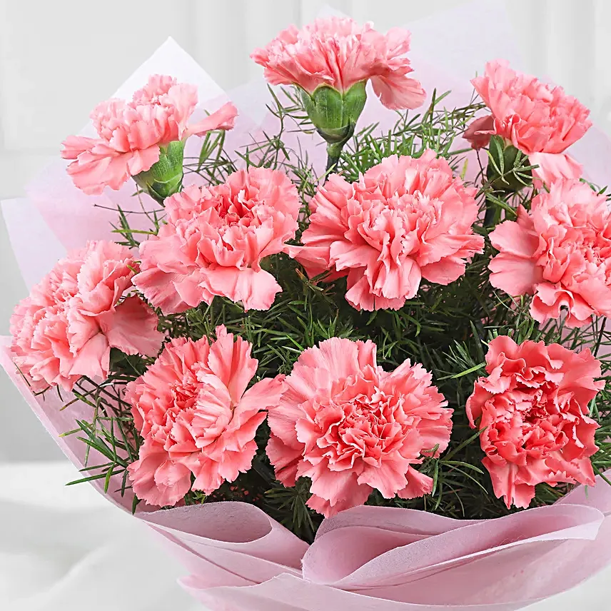 Pretty Pink Carnations Bouquet