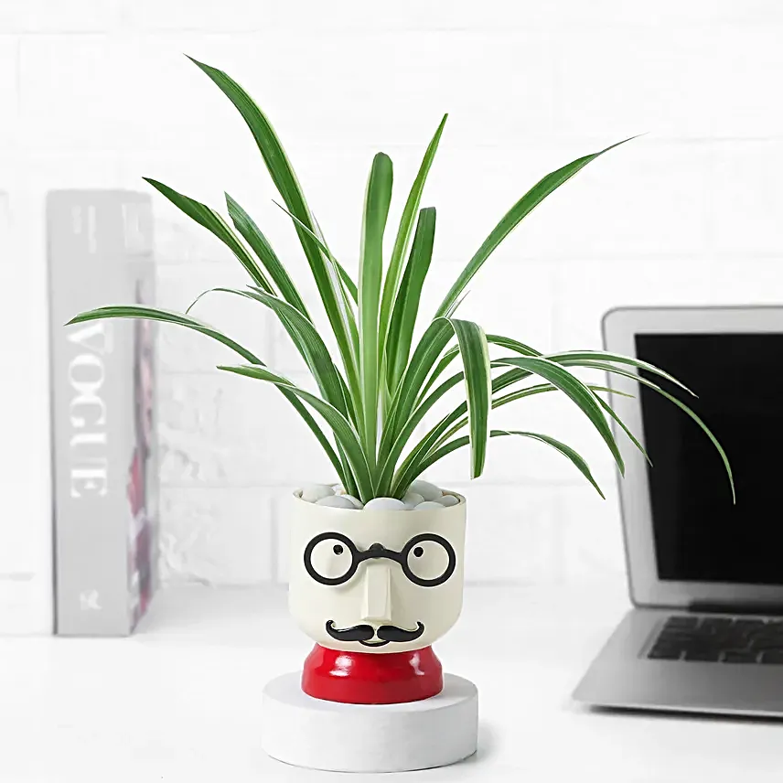 Super Dads Green Desk Buddy