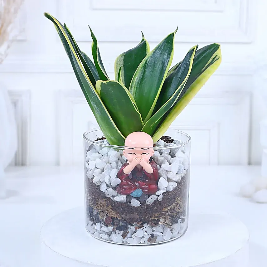 Blissful Zen Arrangement