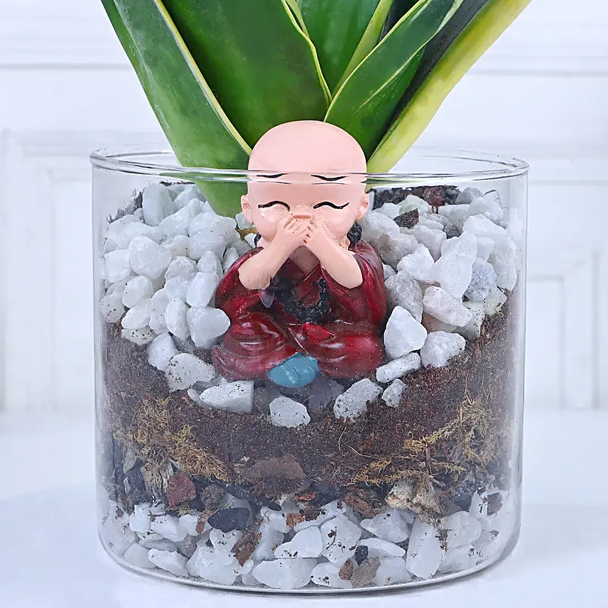Blissful Zen Arrangement