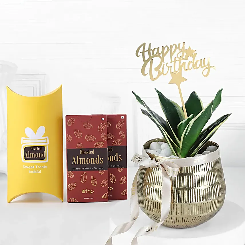 Stylish Green Gift N Chocolate Treat