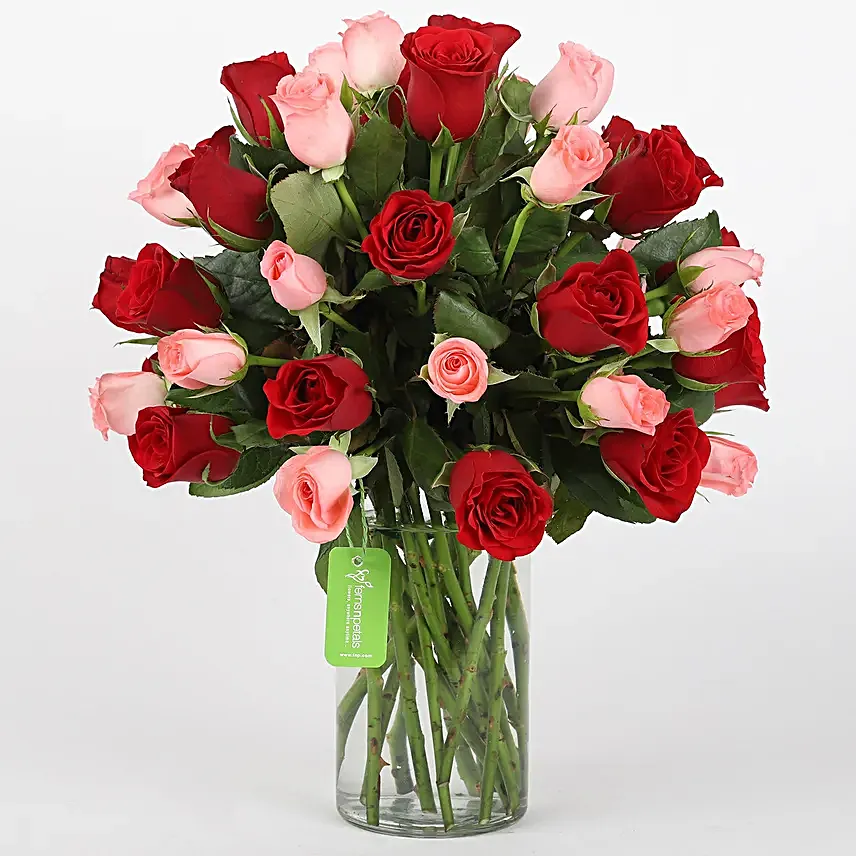 Mix Red n Pink roses with black forest cake